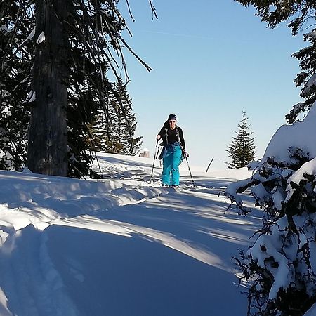 Pension Kasbergblick Scharnstein Eksteriør bilde