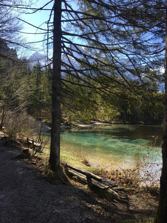 Pension Kasbergblick Scharnstein Eksteriør bilde